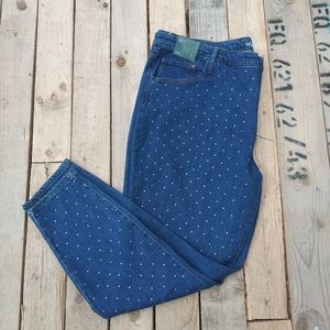 Size 24W Wild Fable Skinny Jeans